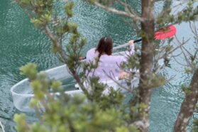 20250125 台中 喜鵲方舟18